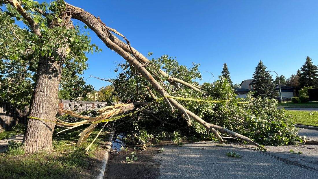 A low-pressure system resulted in Monday night's storm that hit parts of Winnipeg.
