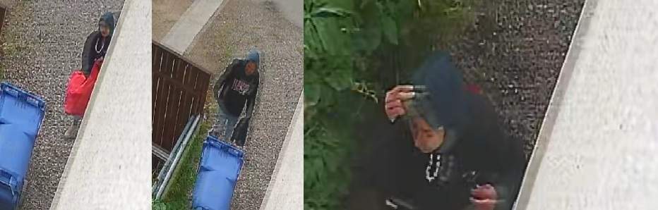 Regina police said they are looking for the people pictured to gather more information.