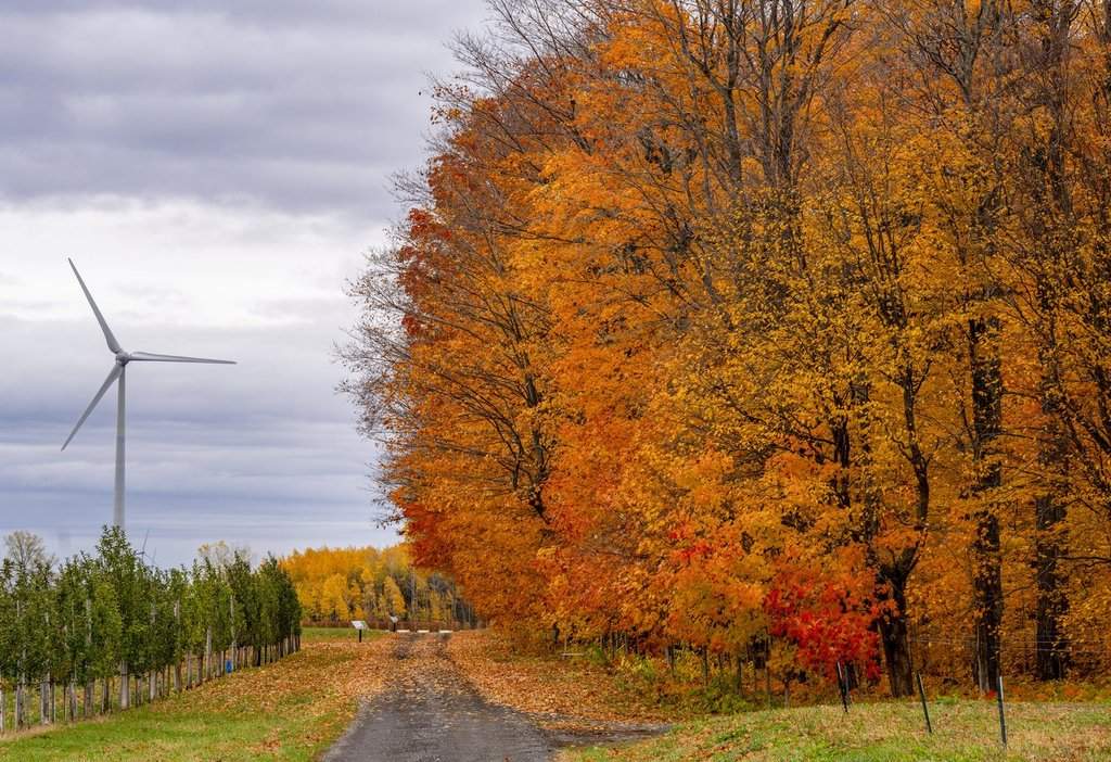 A wind turbine is seen on Kruger Energy's KEMONT Monteregie wind farm on the South Shore of Montreal on Friday, Oct. 24, 2025.  THE CANADIAN PRESS/Christinne Muschi.