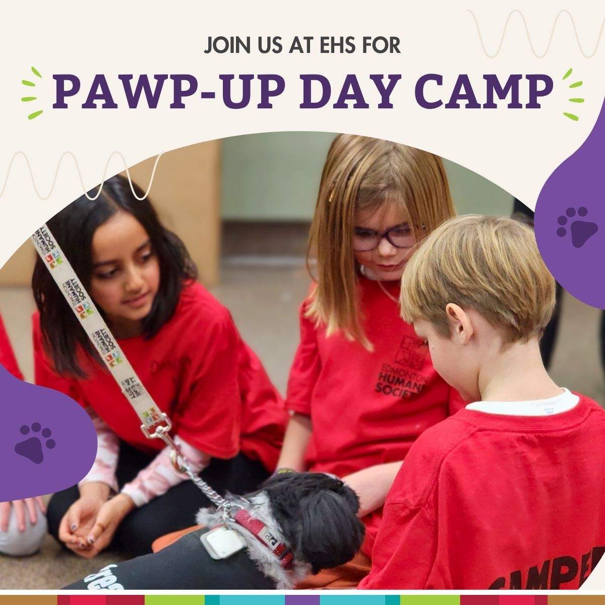 EHS Pawp-Up Day Camps - image