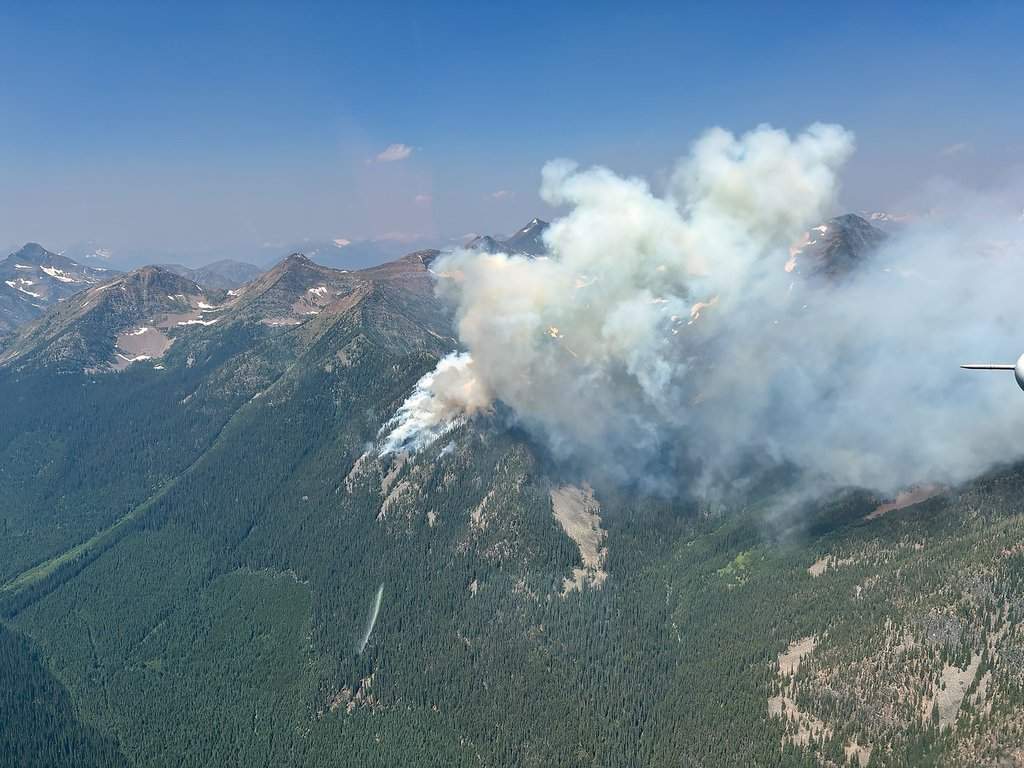 Wildfire