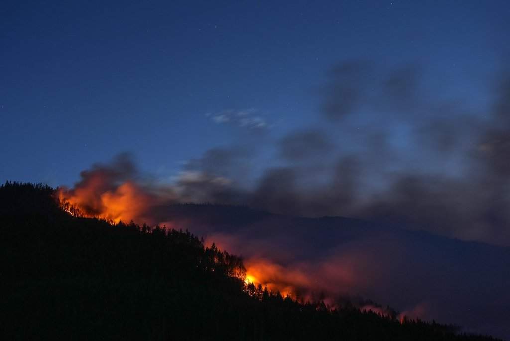 Wildfire
