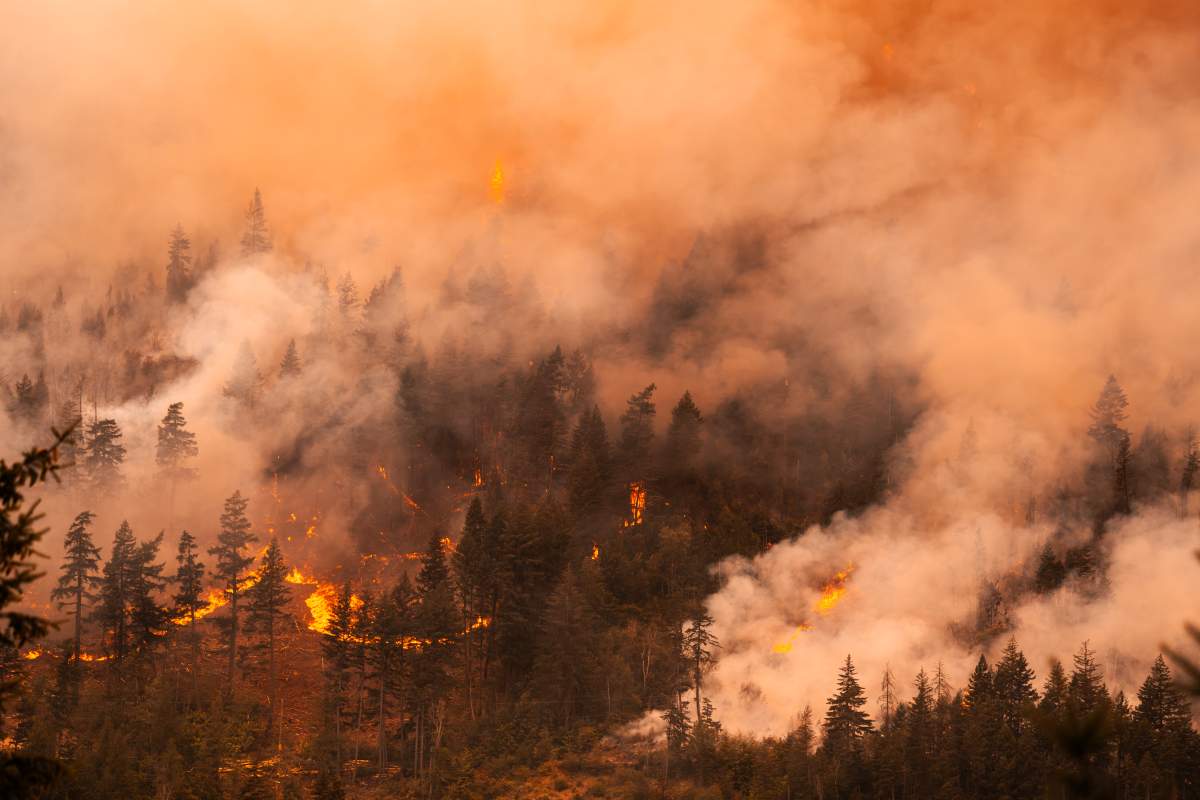 A wildfire burning near Boston Bar has the area evacuated and the highway closed. 