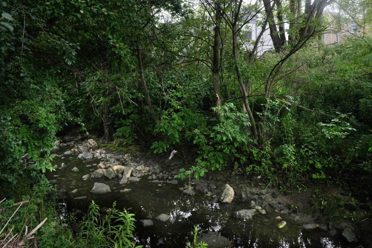 Berry Creek