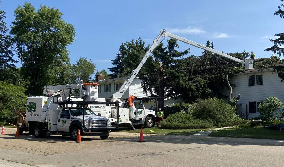 Arborists removing a downed tree from a home in Edmonton on Monday, July 13, 2026.