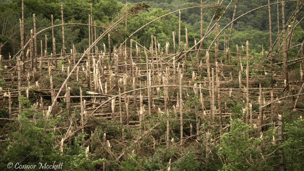 Laurentian tornado