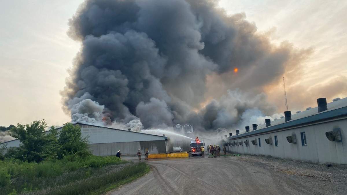 Norfolk County barn fire