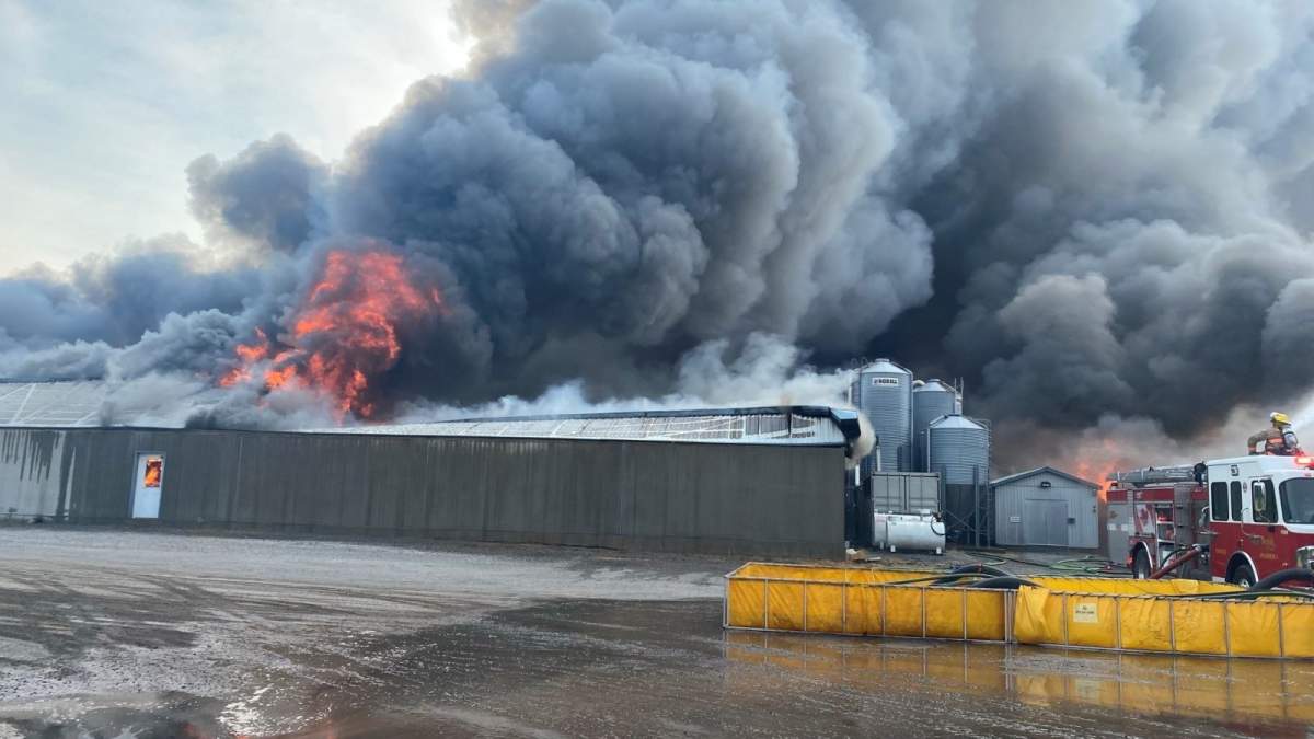 Norfolk County fire