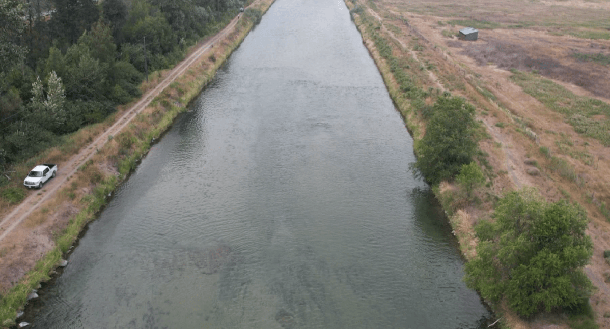 Chani Welch, Hydroscientist, explains that lower water levels cause rivers to warm more quickly, making it difficult for some fish species to survive the heat and preventing some salmon species from reaching their natural spawning grounds.