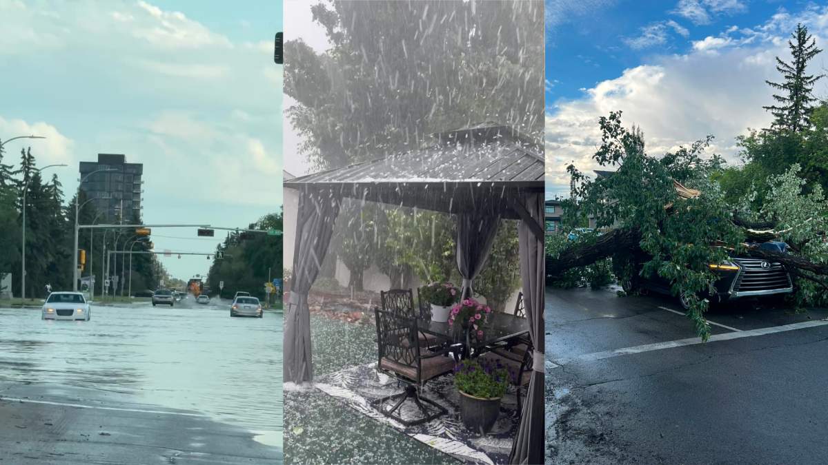 Flooded roads, torrential rain and hail, and a downed tree on a vehicle after thunderstorms in Edmonton, Alta. on July 10 and 11, 2026.