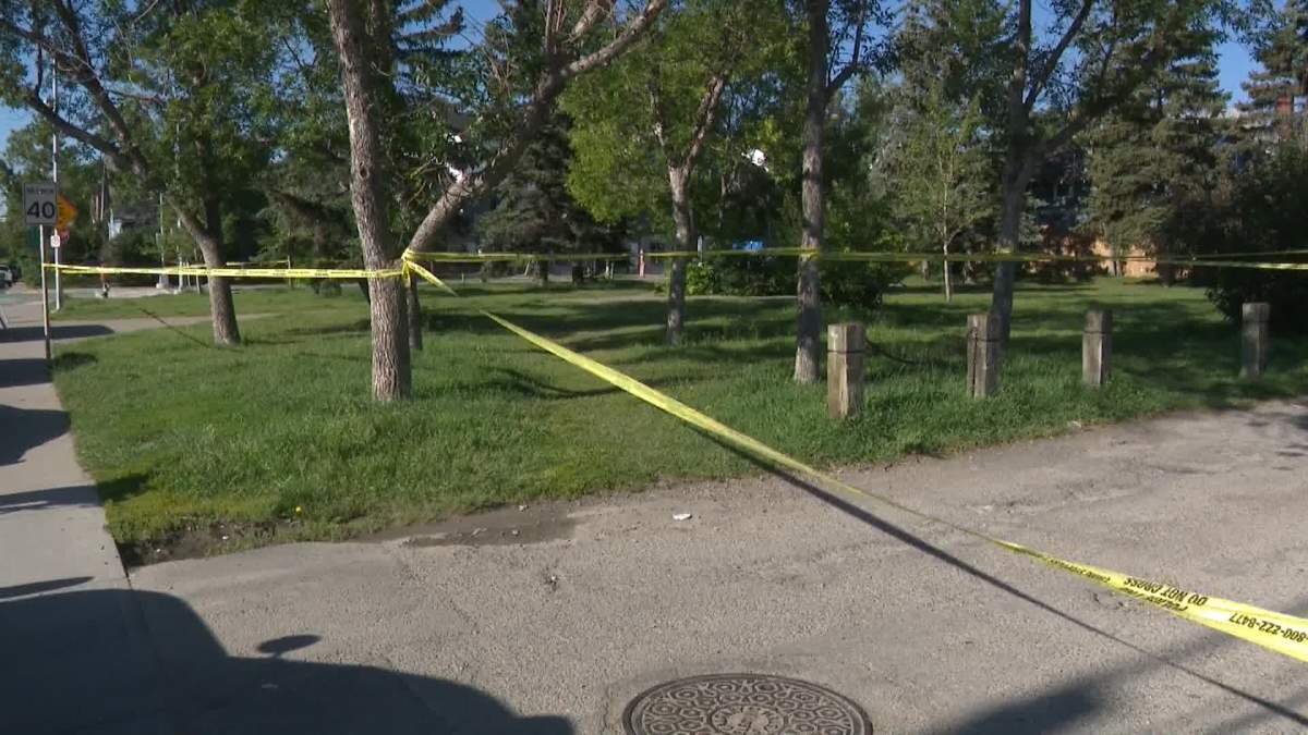 Calgary police say the assault appears to have taken place at Sunalta Cottage School Park, but the victim was located at the nearby Sunalta C-Train station.