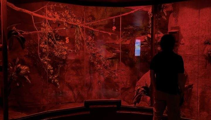 Renovated nocturnal wing at the Edmonton Valley Zoo.