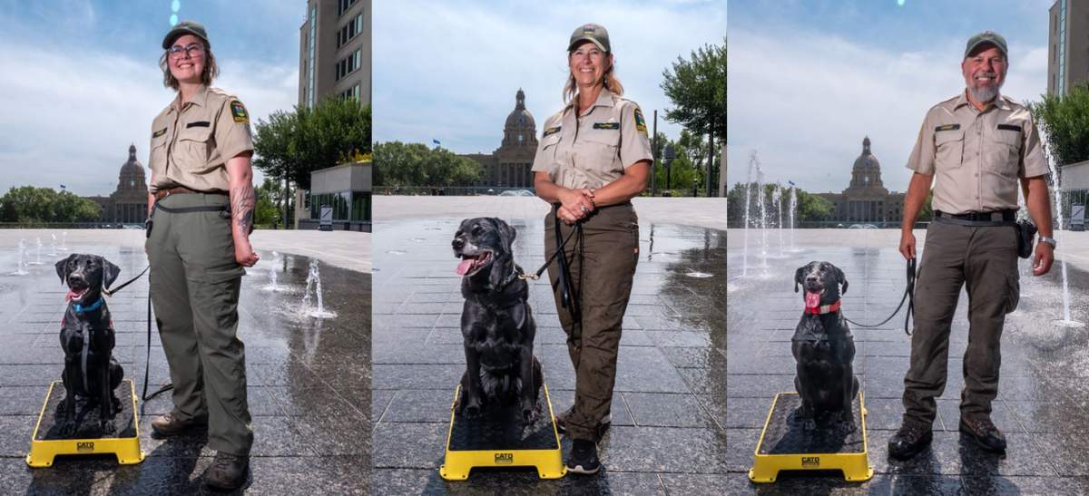 Winnie, Hilo and Jane, shown here with their handlers, are members of the canine team helping to protect Alberta's waterways from invasive species such as zebra mussels and quagga mussels.