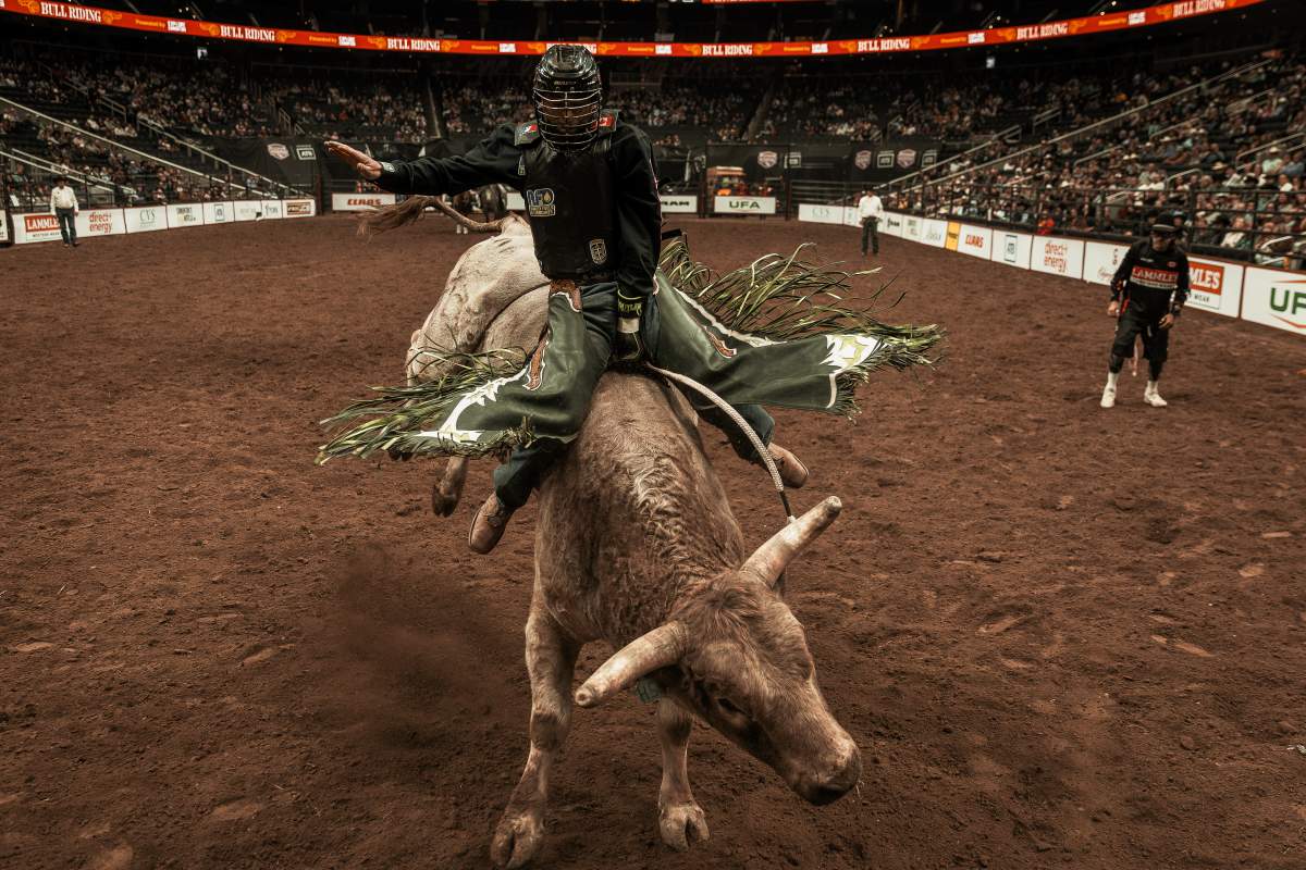 Canadian Finals Rodeo, Supported by Global Edmonton - image