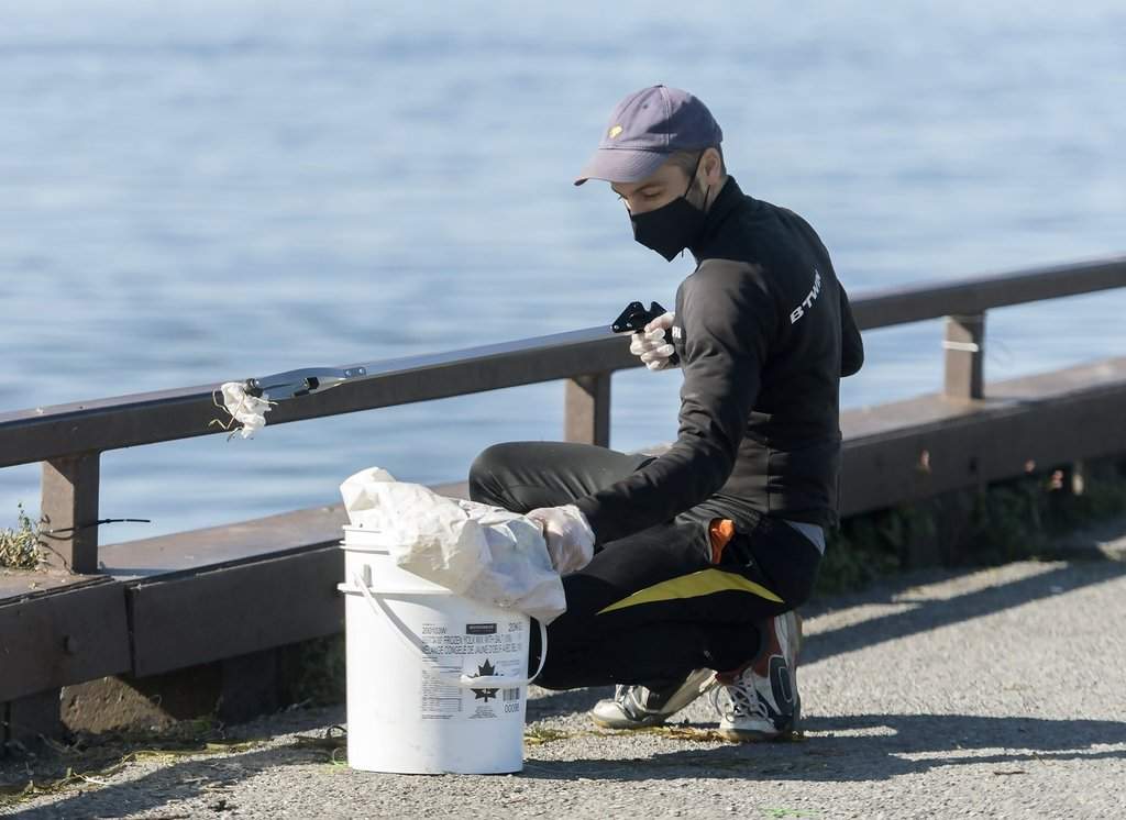 A man picks up trash next to the St. Lawrence River in Montreal, Sept. 19, 2020, during an annual cleanup day along the river and surrounding parks. THE CANADIAN PRESS/Graham Hughes.