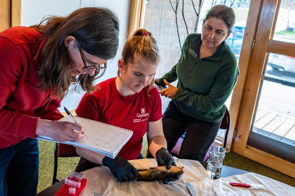 From left, Elizabeth Murchison, a professor at the University of Cambridge; Zoe Clarke, postdoctoral associate and Julie Dragon of the University of Vermont disect a fish while studying cancer in fish that may be transmittable. THE CANADIAN PRESS/Handout - Joshua Brown (Mandatory Credit).