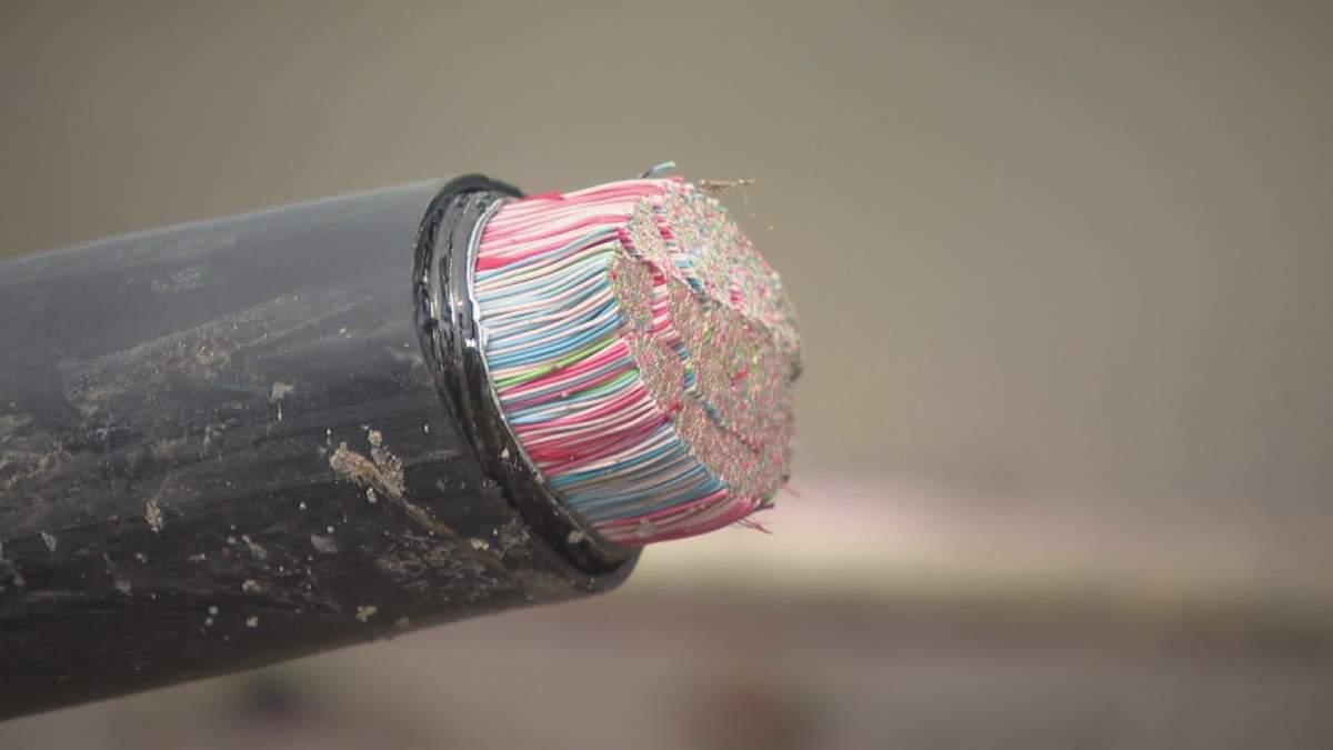 A close-up shows a cable that Telus says was cut by thieves attempting to steal copper wire. Several thefts have left hundreds of Calgarians without cable, internet or phone service.