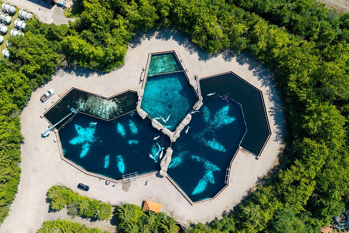 An aerial view shows the beluga whale pools at Marineland in Niagara Falls, Ont., on Monday, June 29, 2026.