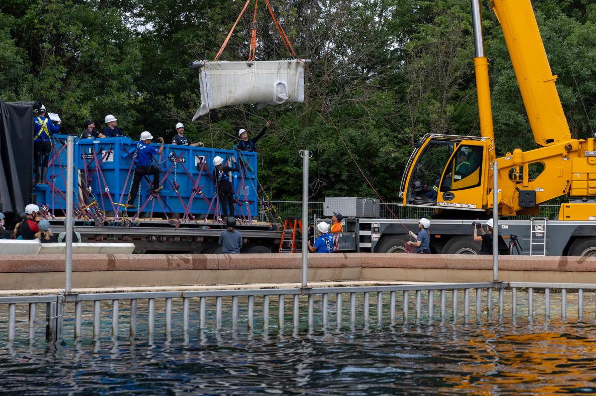 Beluga whale “Bertie Botts” is transported by a group of experts from Marineland and several US aquariums onto a truck via a sling at Marineland in Niagara Falls, Ont., on Monday, July 20, 2026.