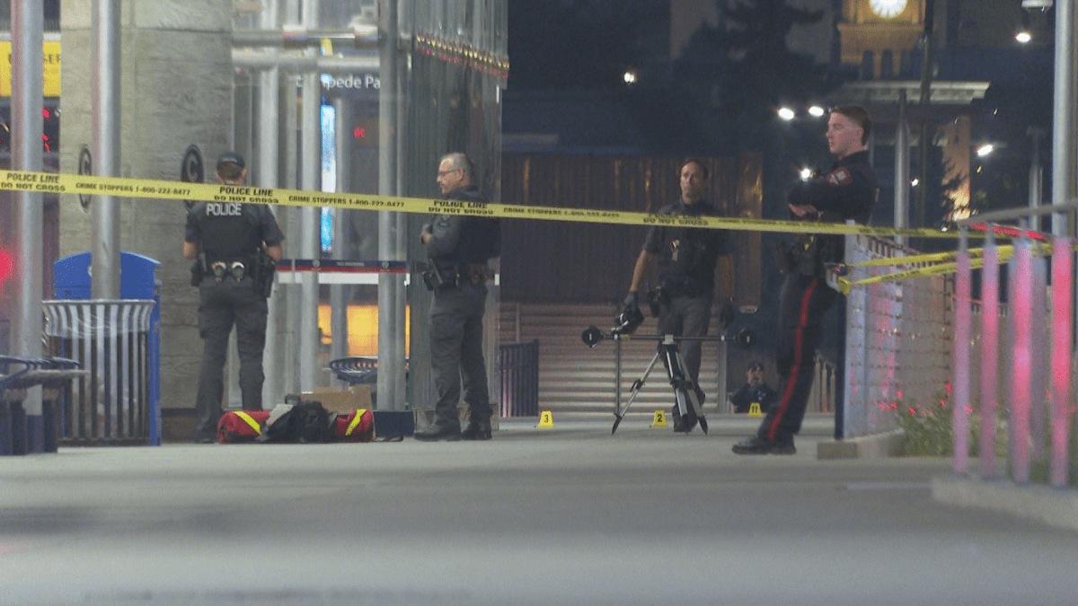 Officers investigate shooting
