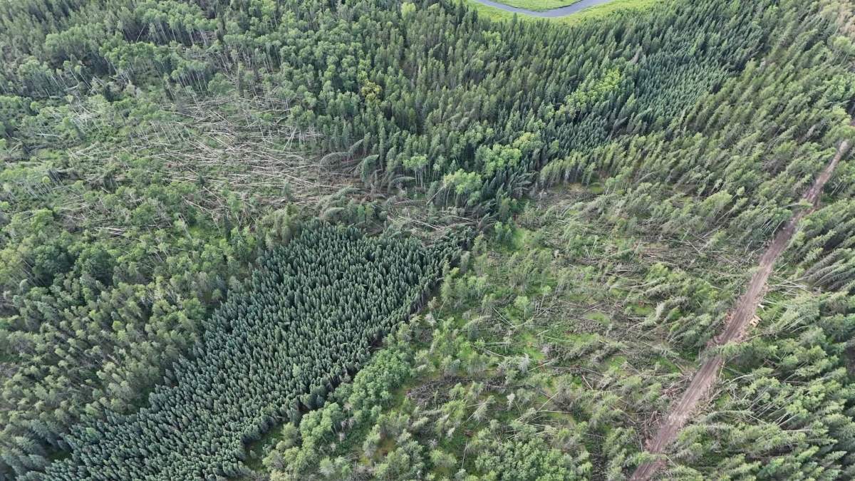 A severe thunderstorm swept across the Lac La Biche region on Aug. 1,2026, leaving a swath of destruction in the Lakeland Provincial Recreation Area and blocking a trail near Seibert Lake.