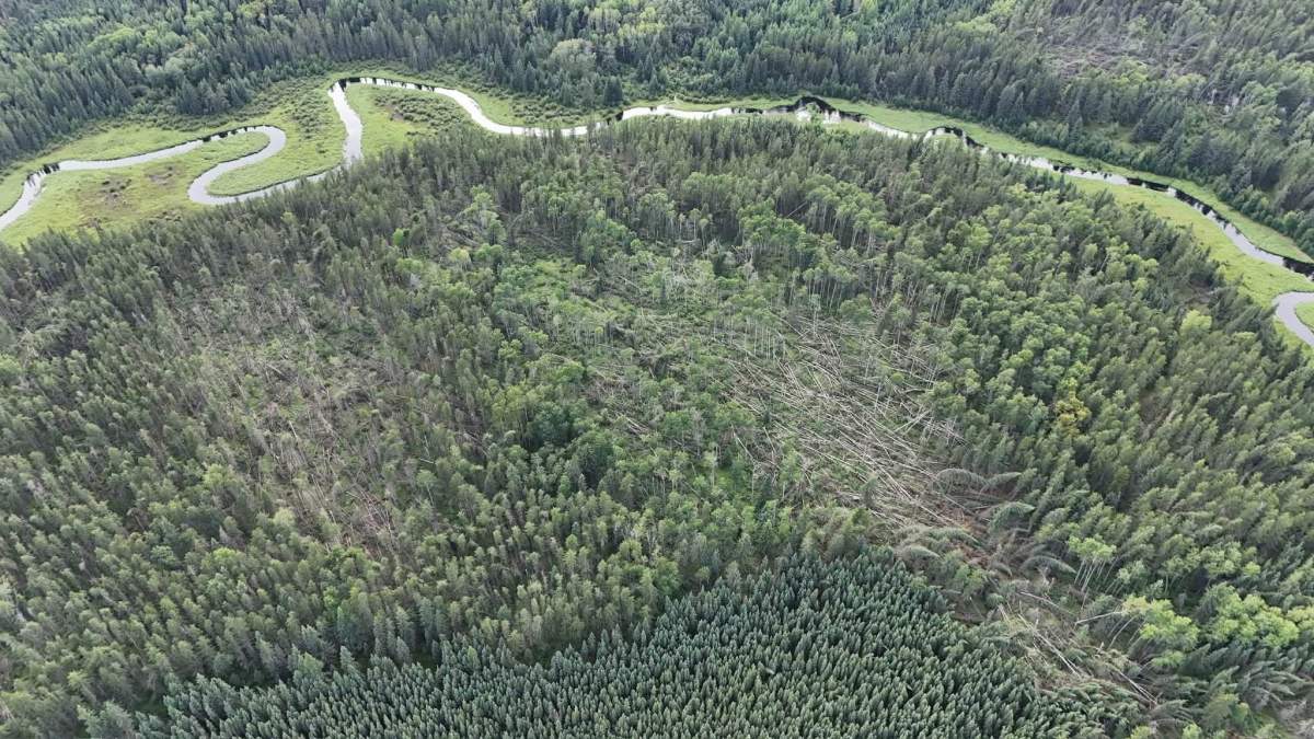 A severe thunderstorm swept across the Lac La Biche region on Aug. 1,2026, leaving a swath of destruction in the Lakeland Provincial Recreation Area and blocking a trail near Seibert Lake.