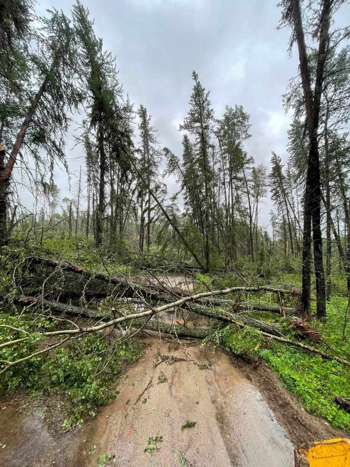 A severe thunderstorm swept across the Lac La Biche region on Aug. 1,2026, leaving a swath of destruction in the Lakeland Provincial Recreation Area and trapping Shaylie Lamoureux’s family on a trail near Seibert Lake.
