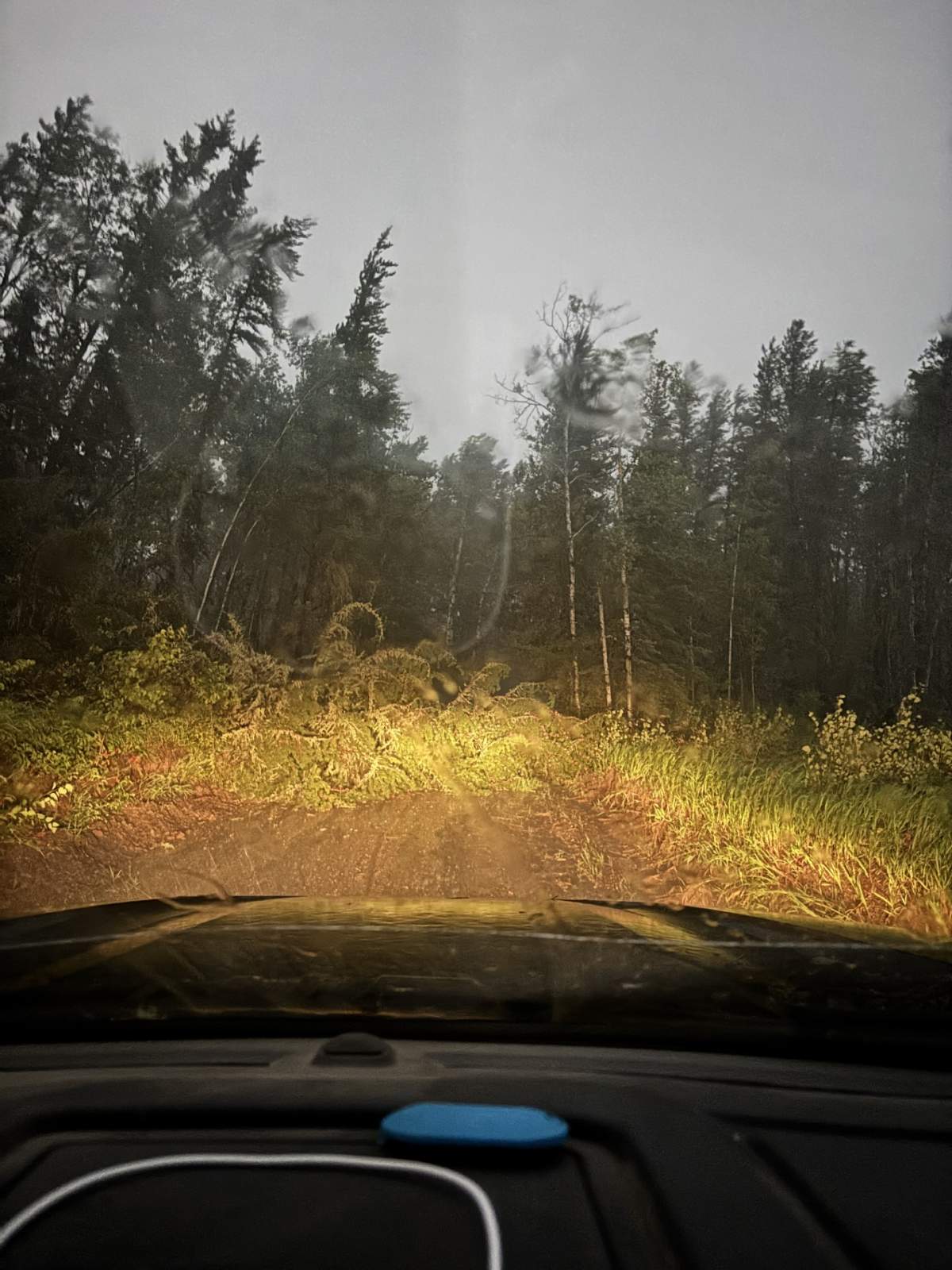 A severe thunderstorm swept across the Lac La Biche region on Aug. 1,2026, leaving a swath of destruction in the Lakeland Provincial Recreation Area and trapping Shaylie Lamoureux’s family on a trail near Siebert Lake.