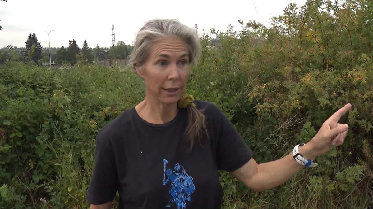 Karen Hrncirik told Global News, she was out for a walk in the park when she saw both police and the suspect shooting at each other.