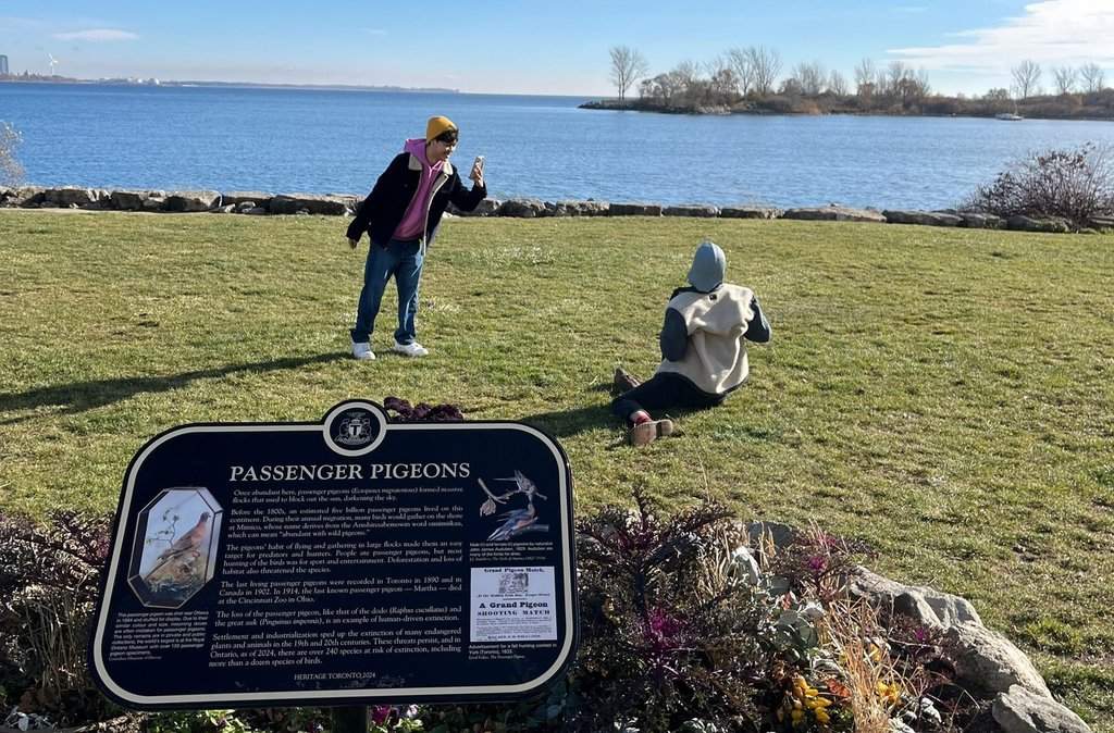 Light Naing, left, marketing and communications coordinator at Heritage Toronto, films the Plaque Friday pigeon mascot, for the first video about a plaque on passenger pigeons, in this handout photo, taken Nov. 24, 2025. THE CANADIAN PRESS/Handout - Heritage Toronto (Mandatory Credit).