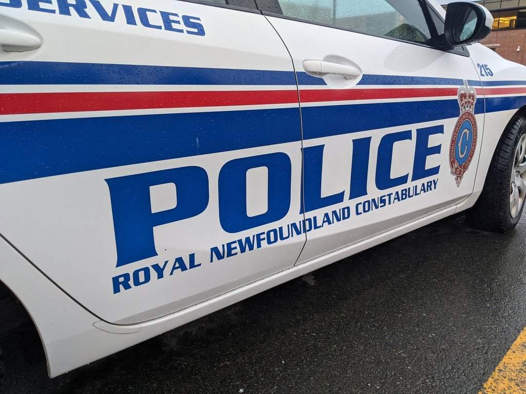 A Royal Newfoundland Constabulary police car is shown in St. John's in a June 2020 photo. 