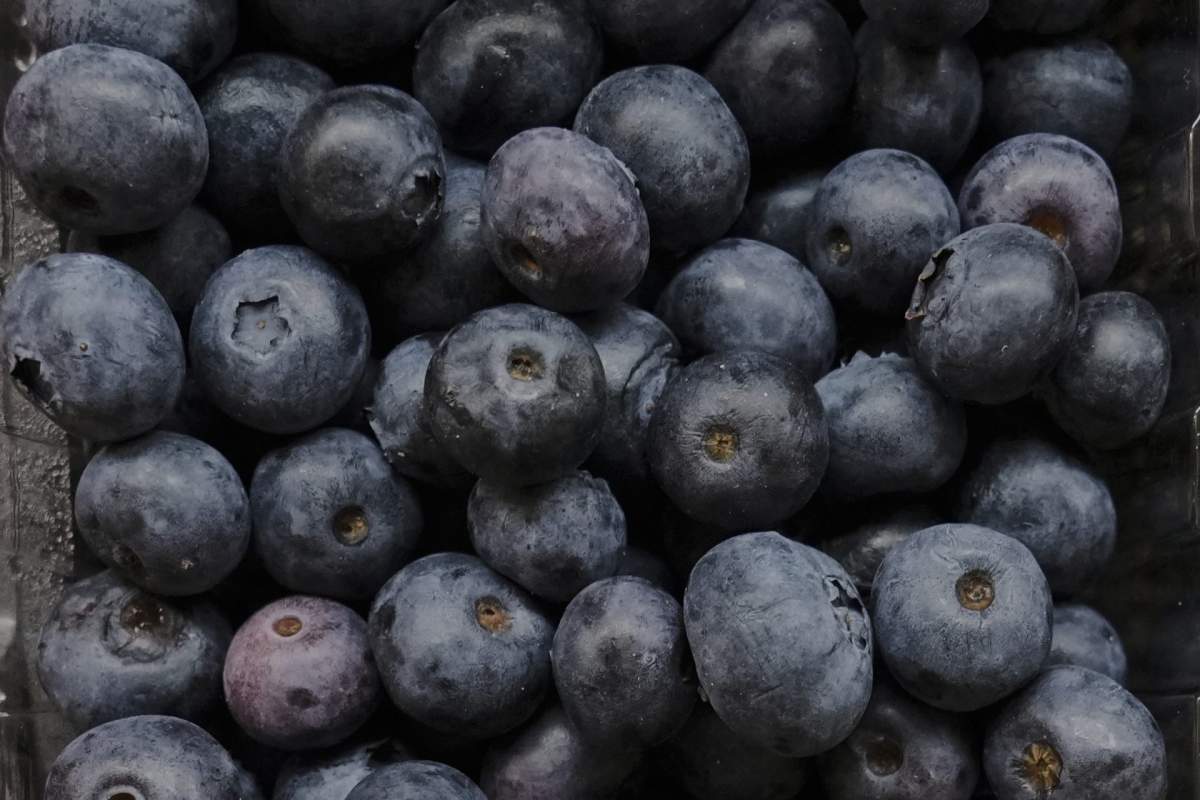 Blueberries