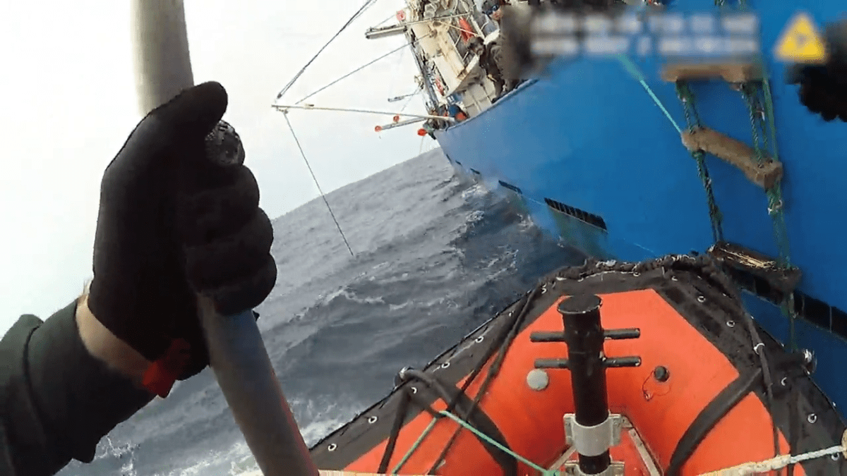 Crews said they boarded ships to find out if any illegal fishing practices were taking place.