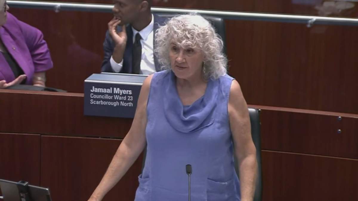 Toronto Coun. Paula Fletcher is pictued speaking at a city council meeting.