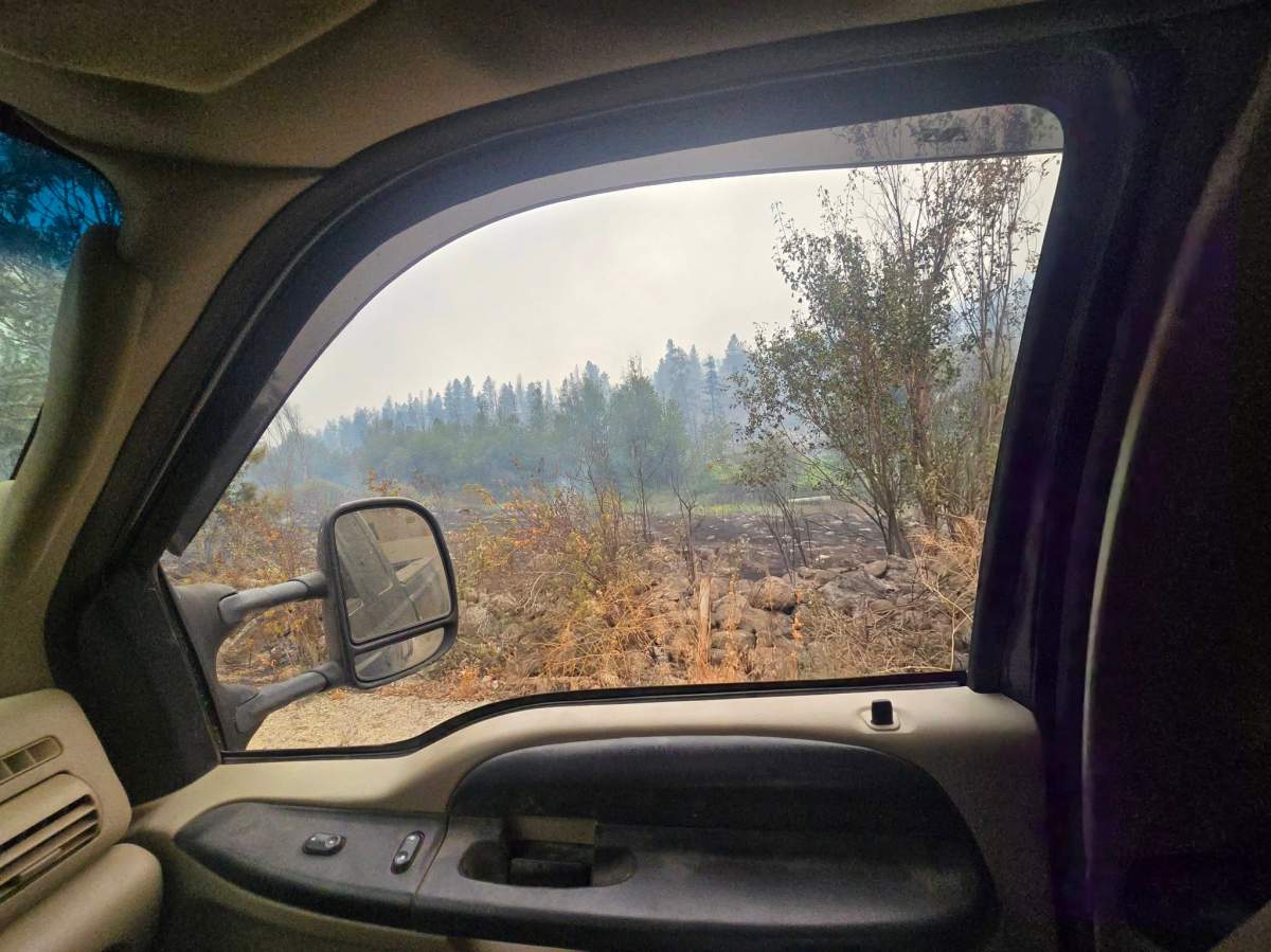 People rushed to help rescue livestock and animals from the wildfire evacuation zone near Summerland.