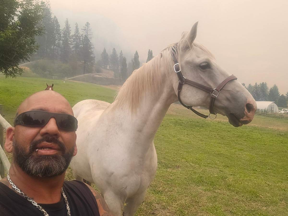 People rushed to help rescue livestock and animals from the wildfire evacuation zone near Summerland.