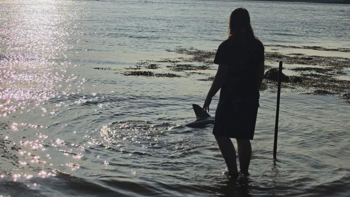 Finn Holland is pictured next to a porbeagle shark he helped guide back to the water after it was found beached alive in Maces Bay on Aug. 15.