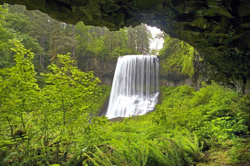 A file photo of waterfalls at Silver Falls State Park surrounded by lush green foliage in Oregon.