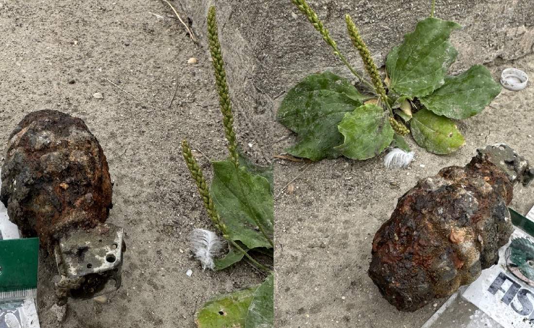 A training grenade from the 1950s was pulled out of a river in Selkirk, Man., Manitoba RCMP say.