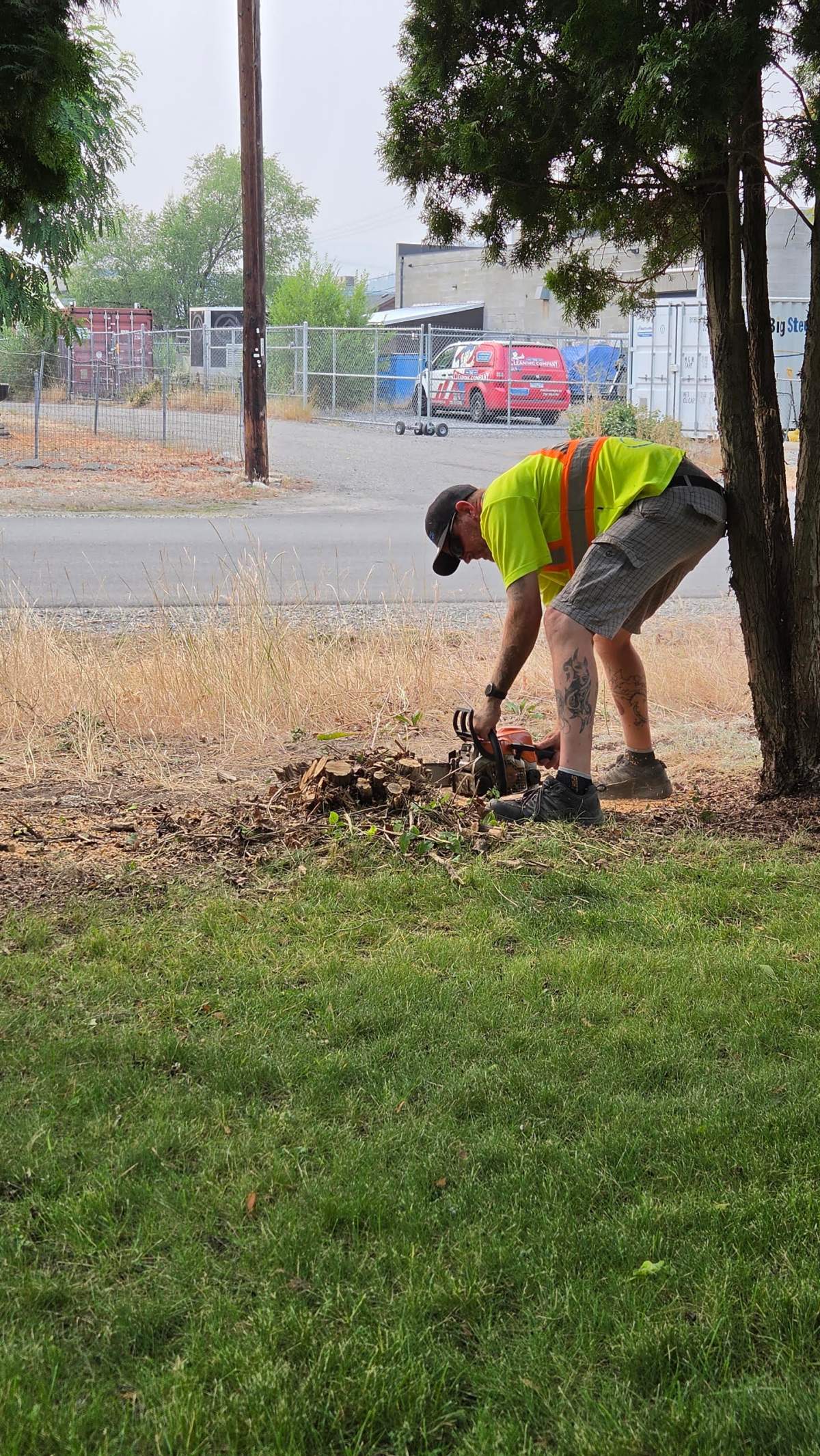 Kris and his family worked over three weekend to trim and cut down the trees on his frotn yard