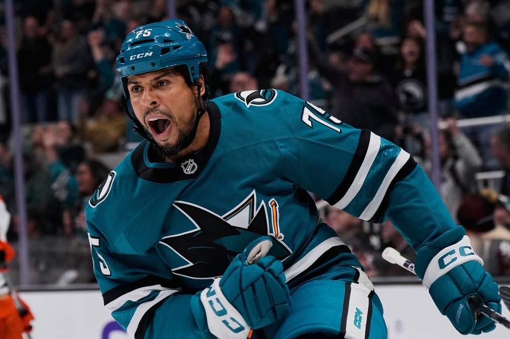 FILE - San Jose Sharks right wing Ryan Reaves celebrates after scoring a goal during the first period of an NHL hockey game against the Anaheim Ducks, Oct. 11, 2025, in San Jose, Calif. (AP Photo/Godofredo A. Vásquez, File).