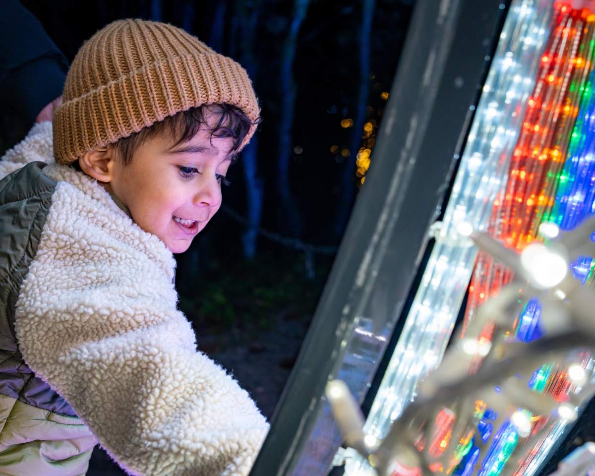 Bear Creek Lights - image
