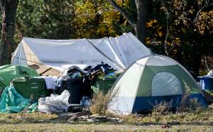 Tents sit on grass