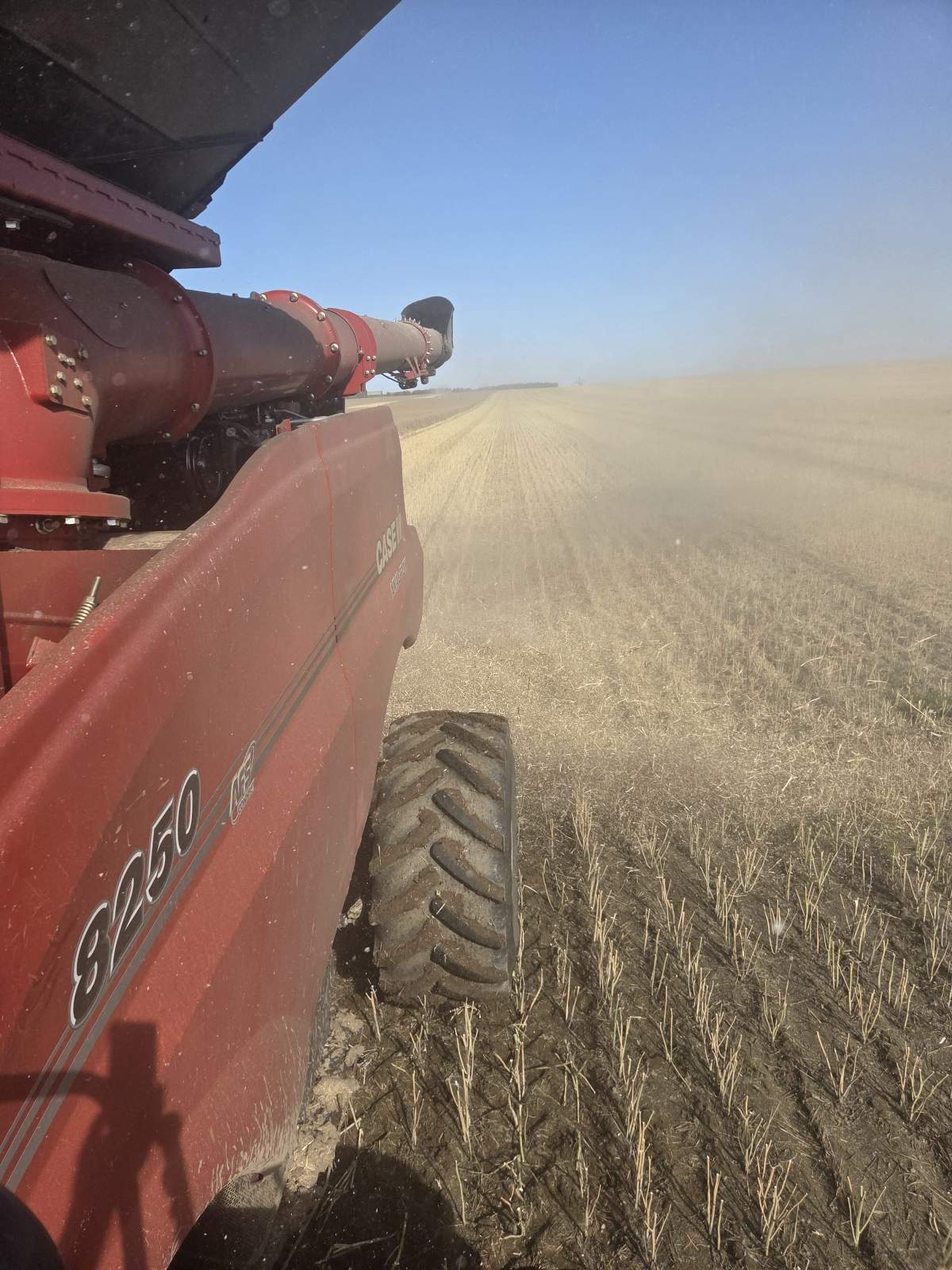 Hanley Harvest