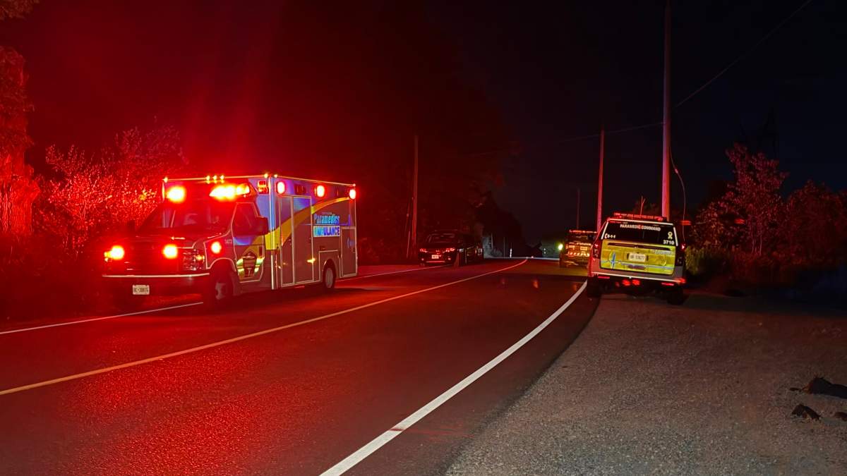 Reesor Road fire