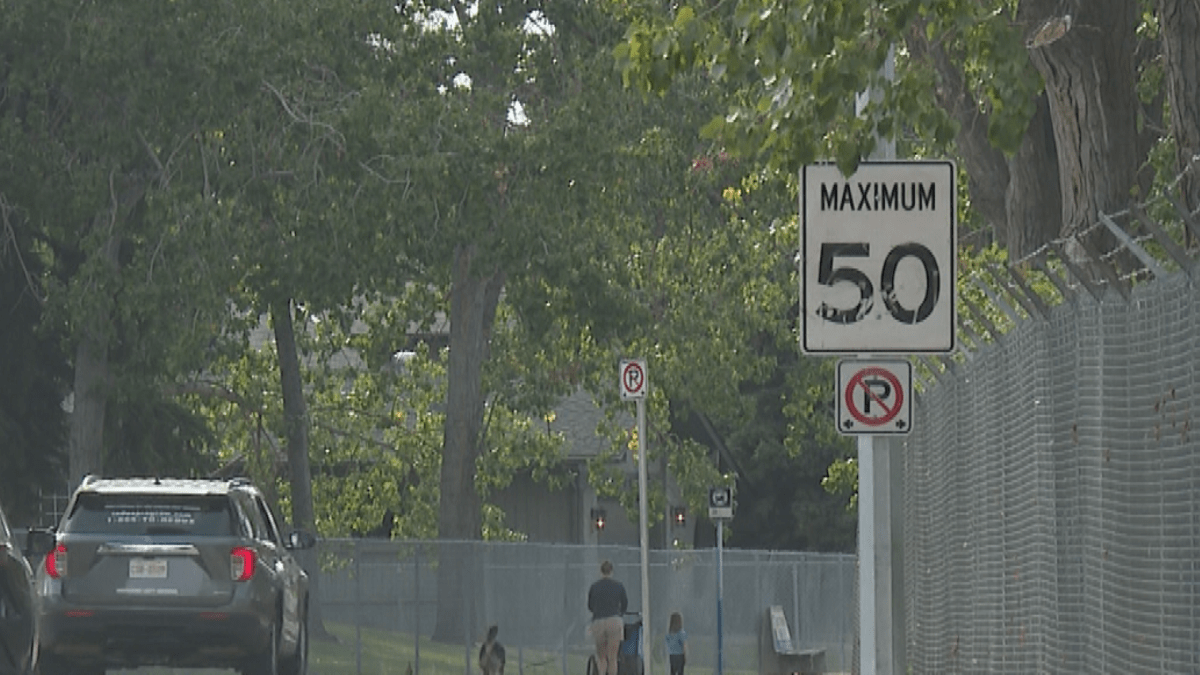 Speed Limit sign in Lake Bonavista