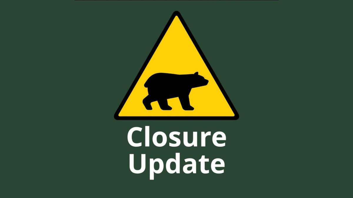 Increased bear activity has prompted Parks Canada to temporarily close the Cyprus Lake campground and cancel some parking reservations at the Grotto.