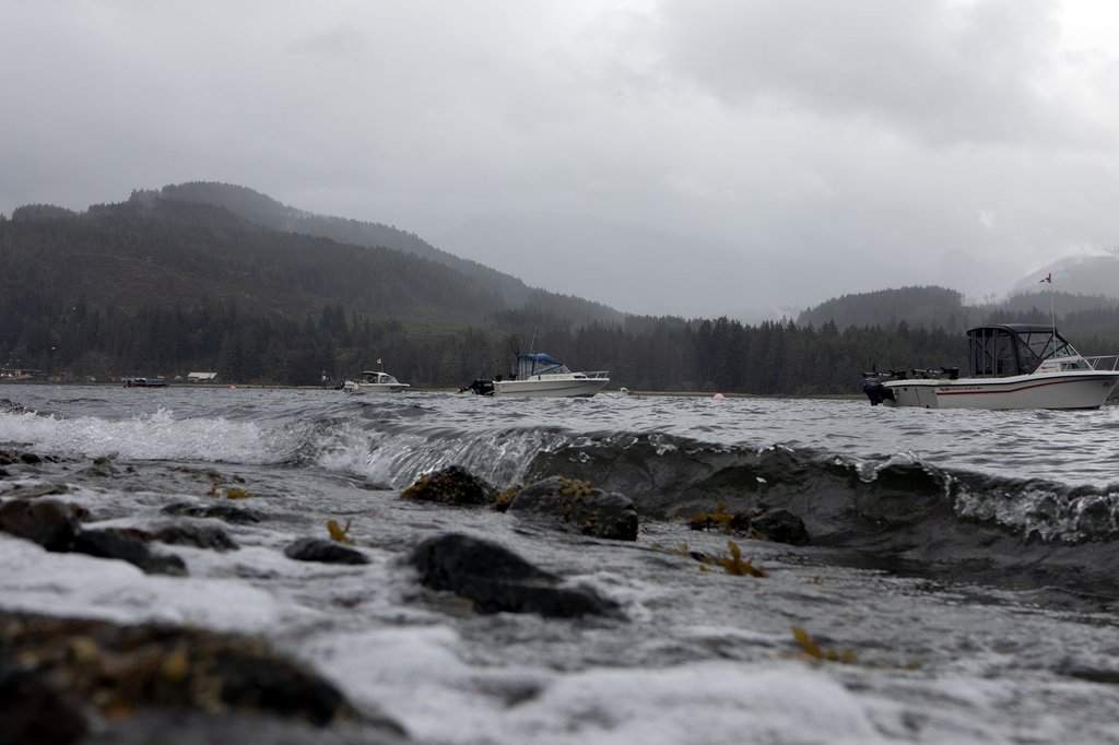 Boats are seen along the Alberni Inlet, looking towards Mount Underwood, south of Port Alberni, B.C., on Saturday, Aug. 16, 2025. 