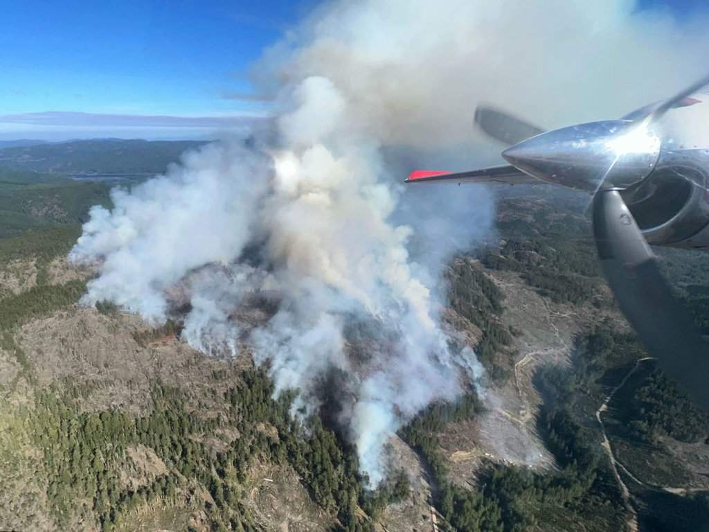 BC Wildfire Service says a new fire, as shown in this handout photo, which was discovered Sunday on Vancouver Island, British Columbia, is burning out of control. 