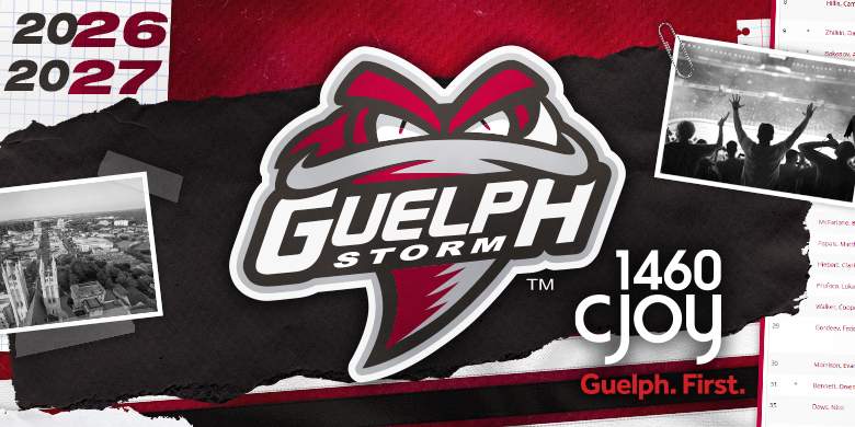Guelph Storm - image